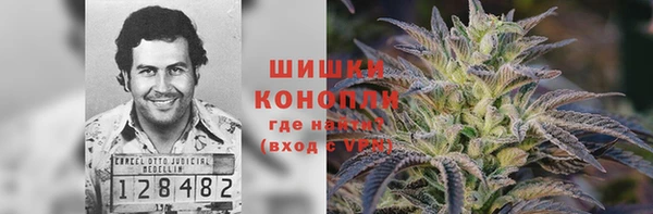 сатива Баксан