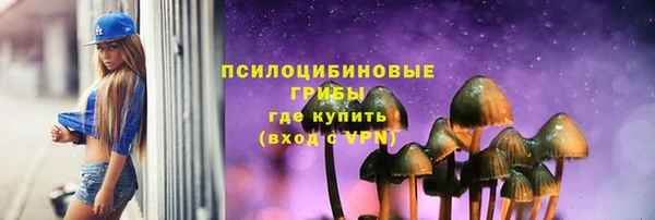 герыч Новодвинск