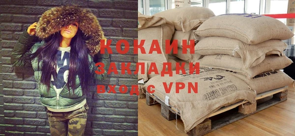 сатива Баксан
